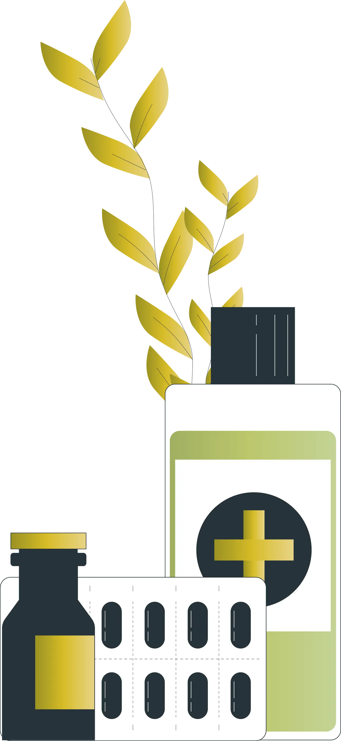 Natural Medical Products with Plant Elements