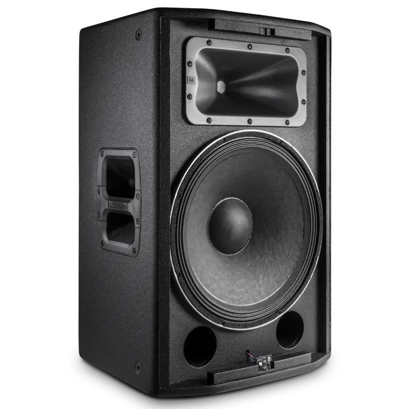 Large Black Speaker System