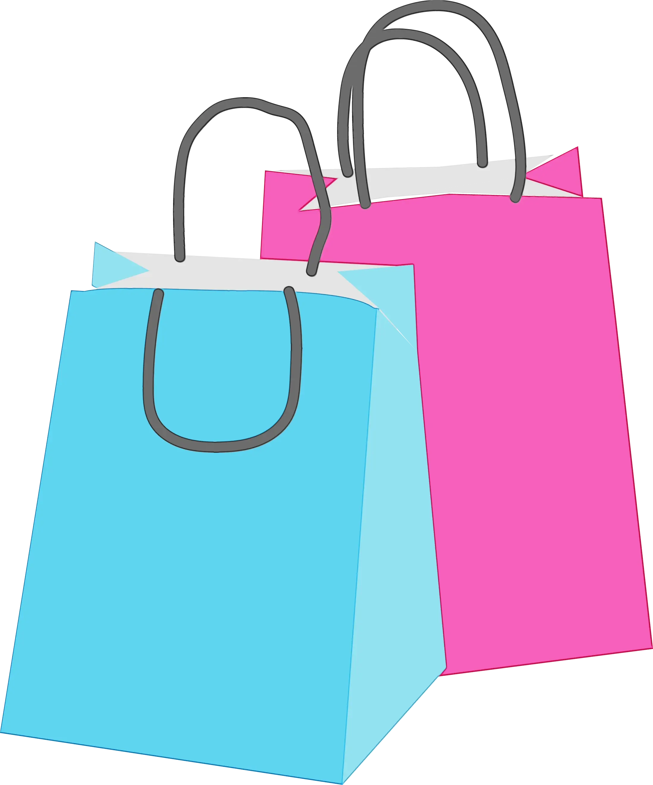 Pink and Blue Shopping Bags Illustration
