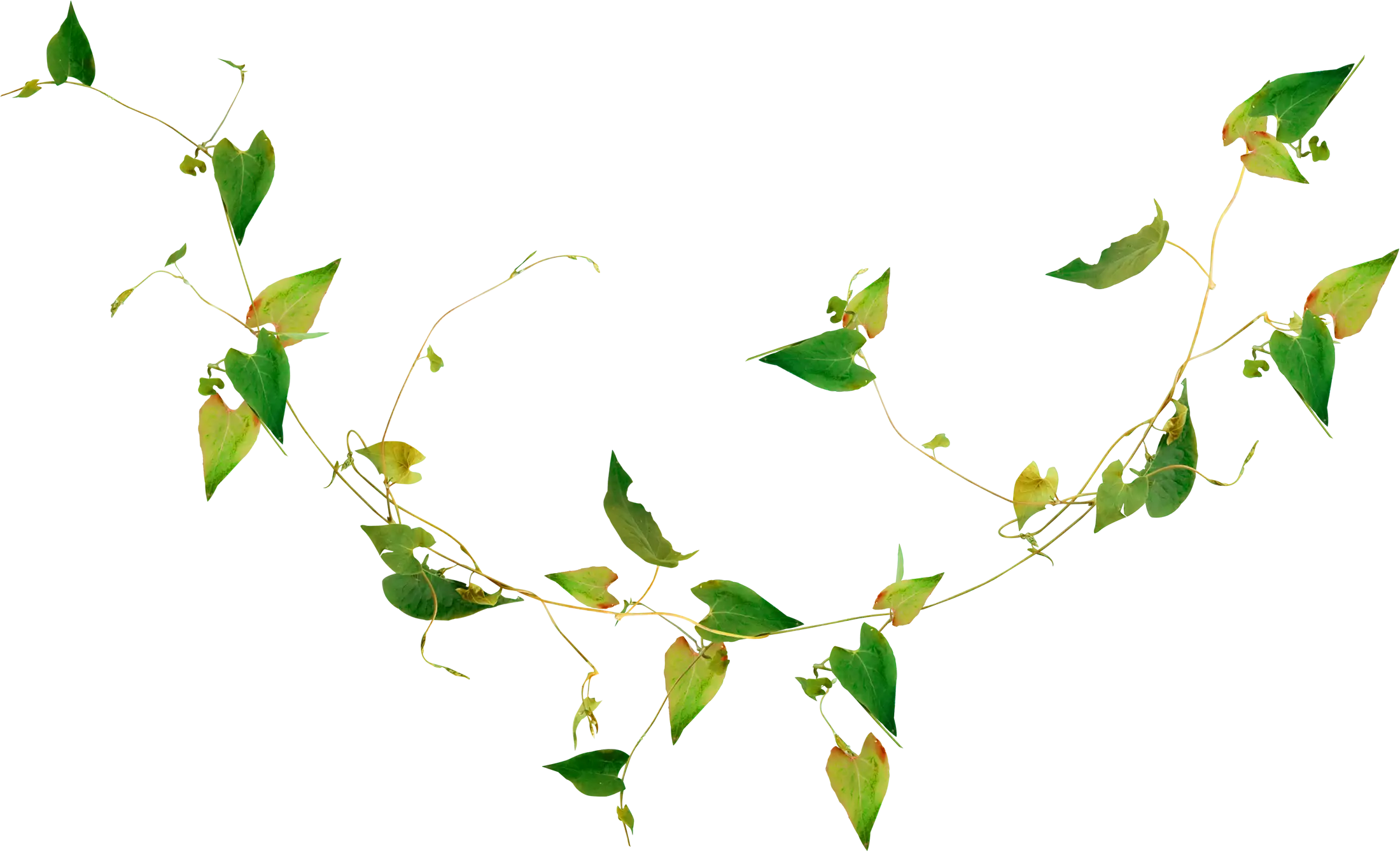Green Leafy Garland Decoration