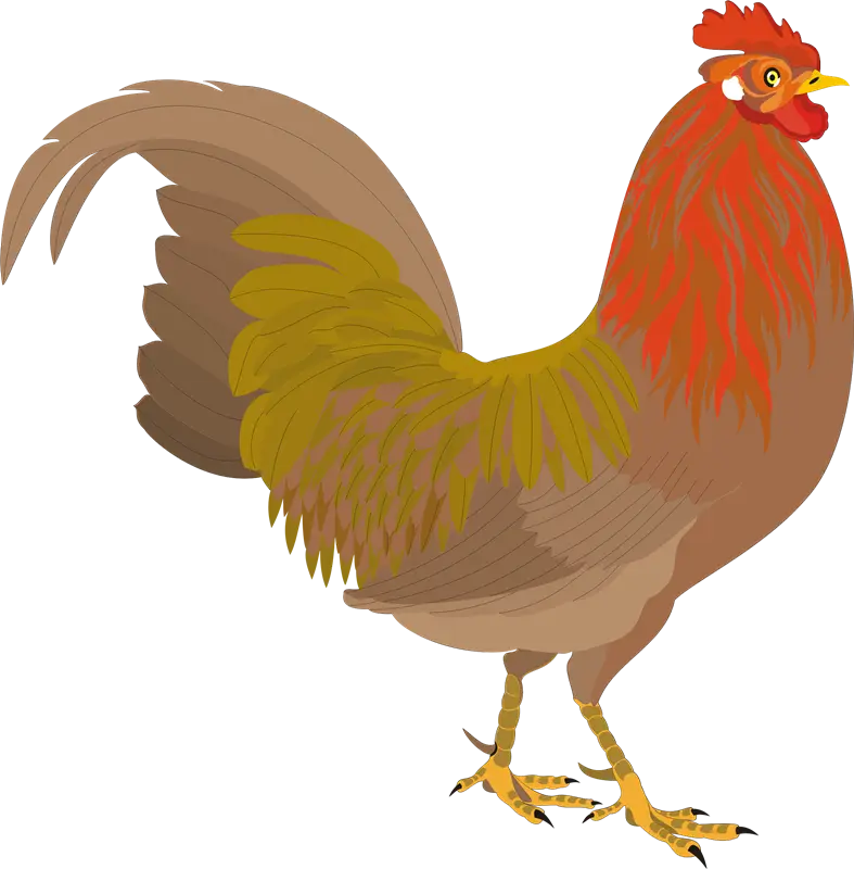 Brown Rooster with Colorful Feathers