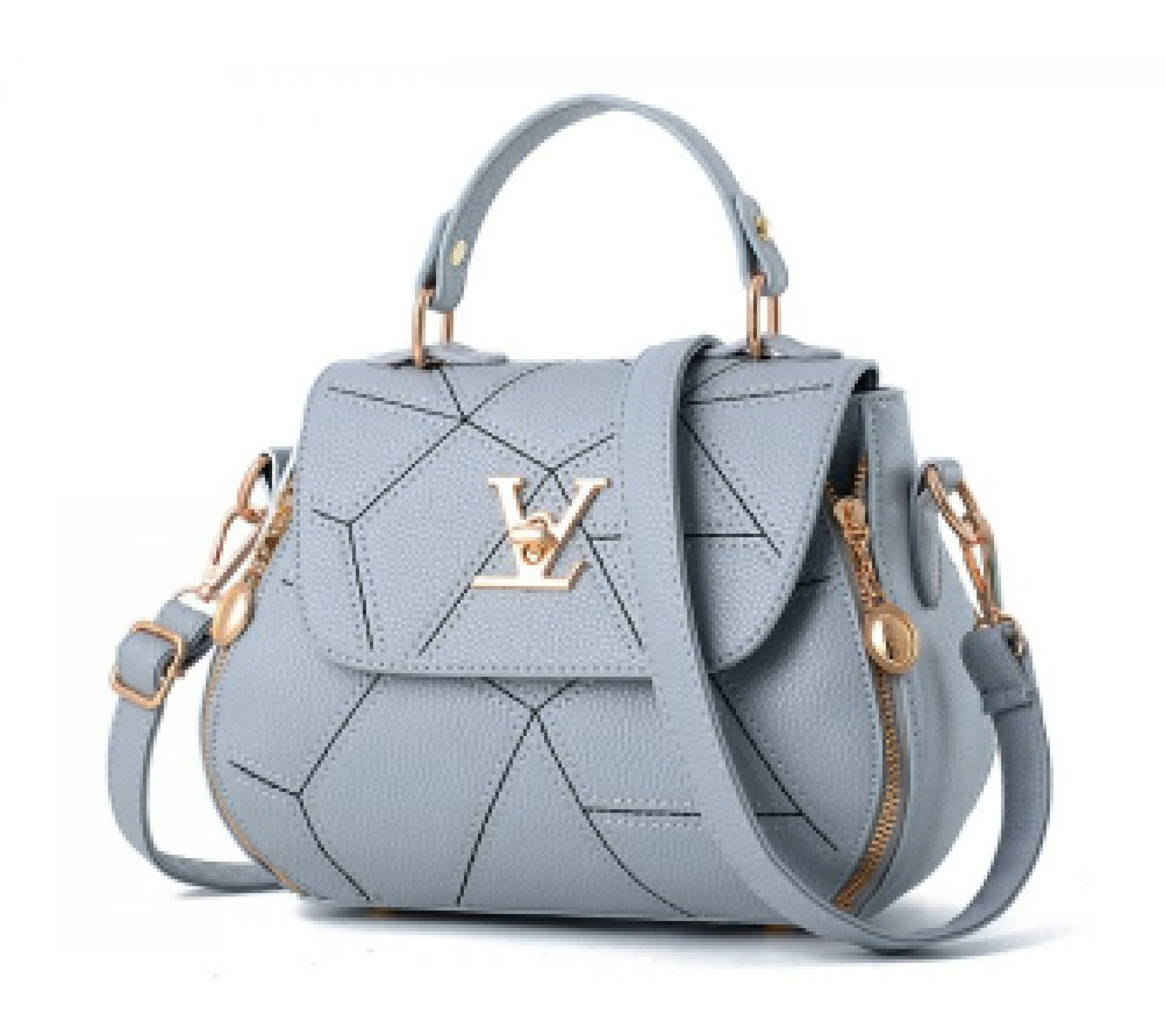 Louis Vuitton Designer Bag