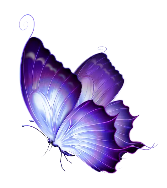 Purple Butterfly Illustration with Elegant Design