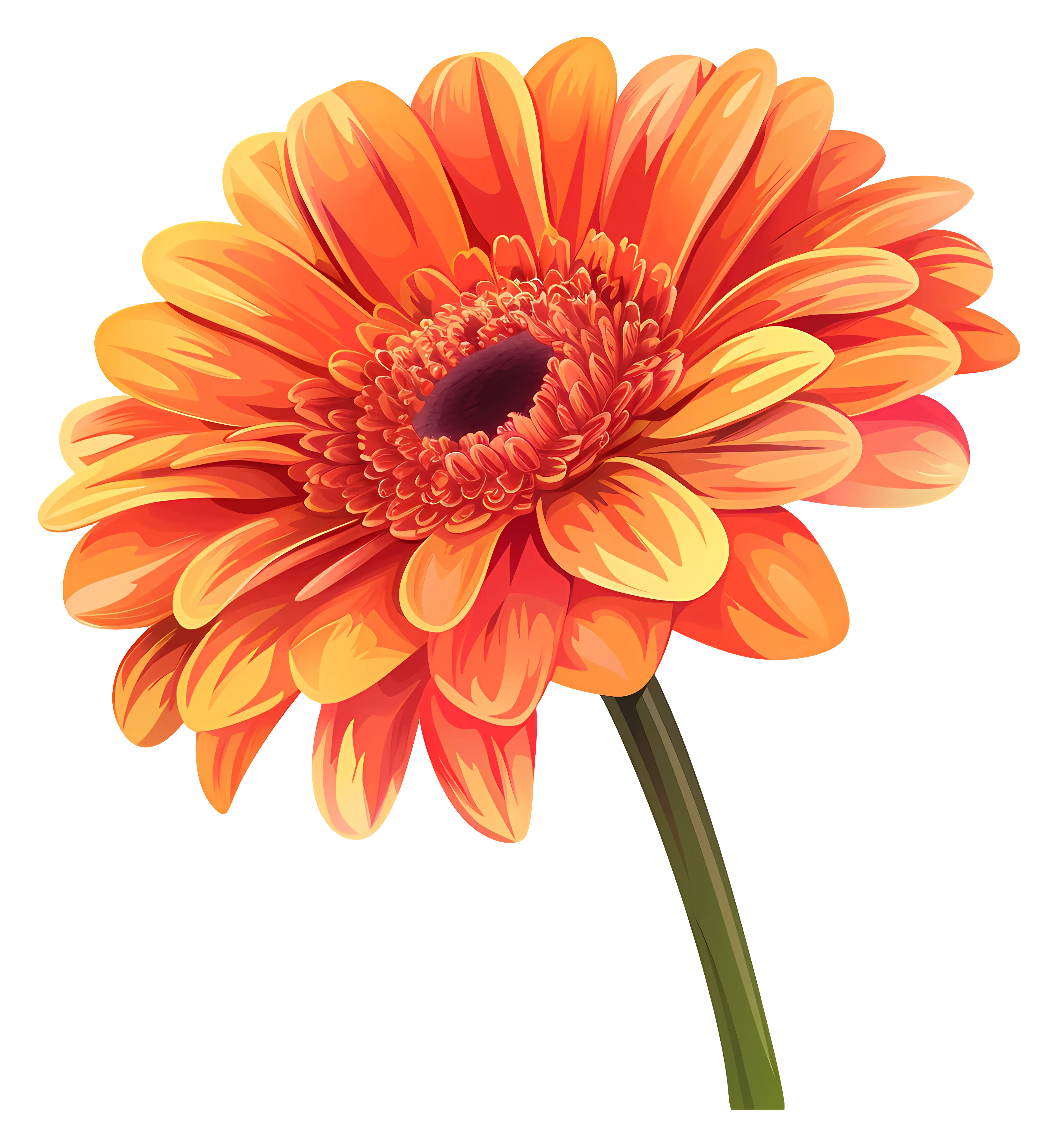 Bright orange gerbera flower