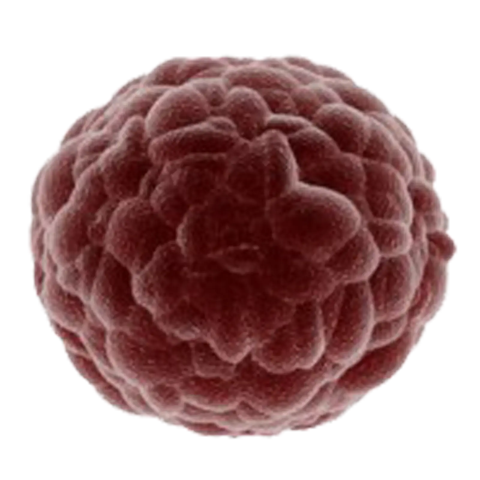Microscopic View of a Cell