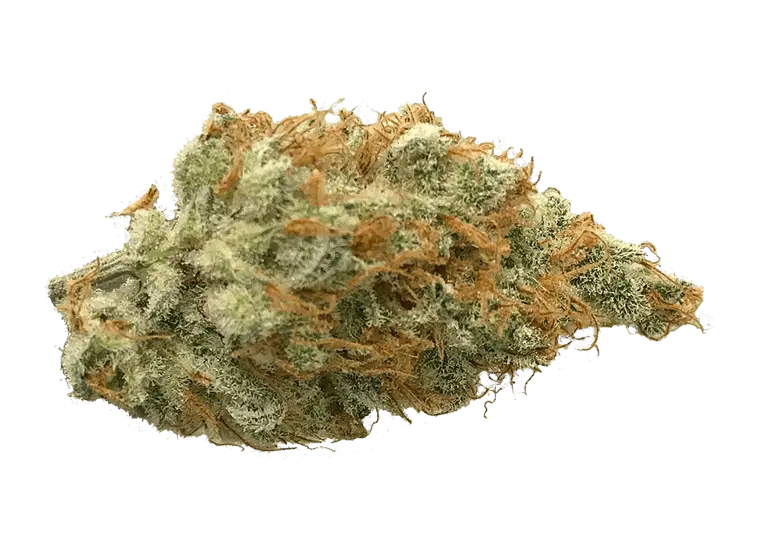 Green Cannabis Bud