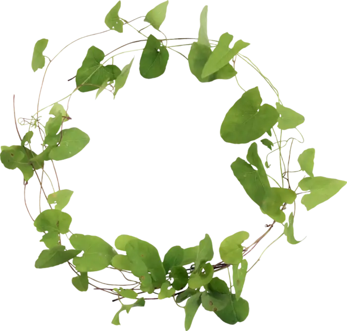 Green Leaf Wreath