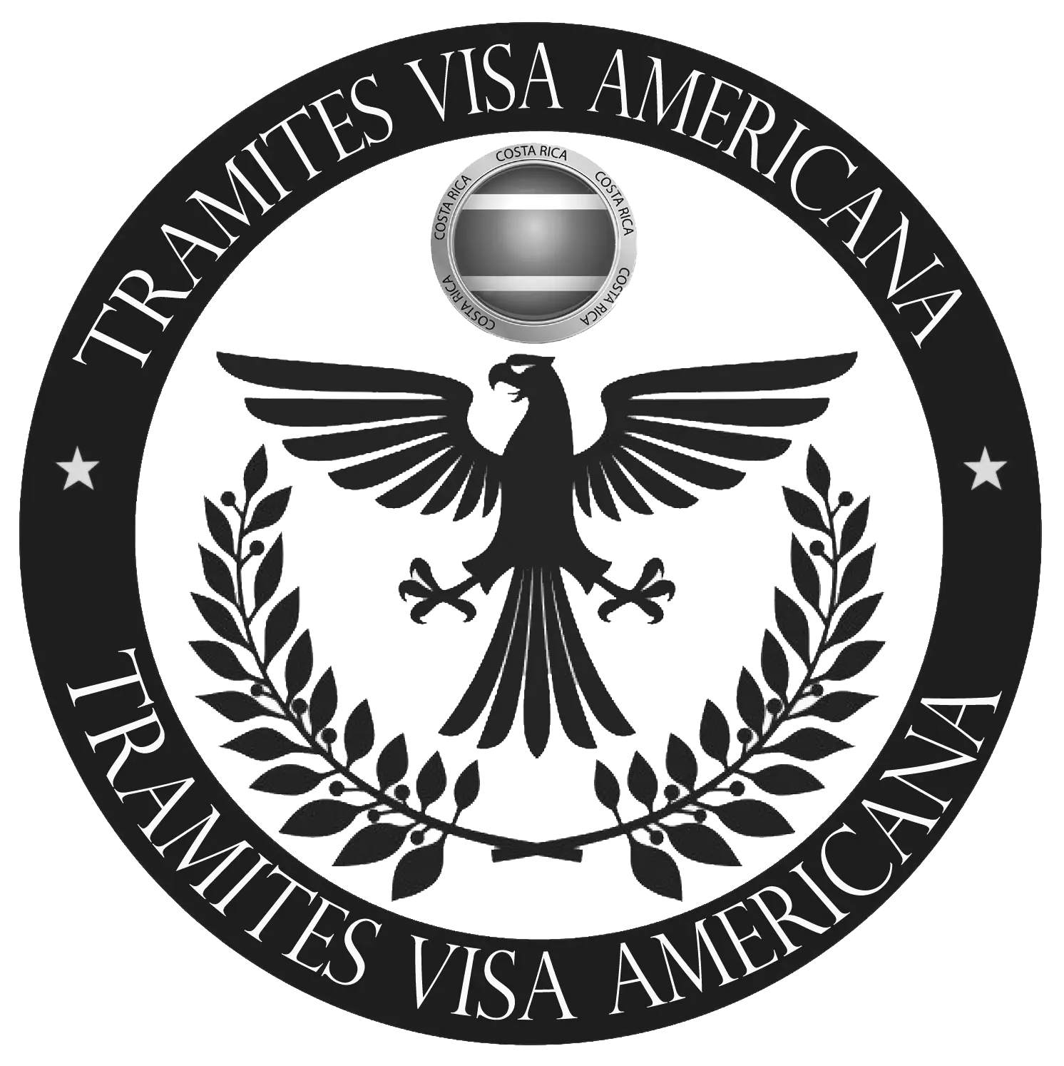 American Visa Stamp