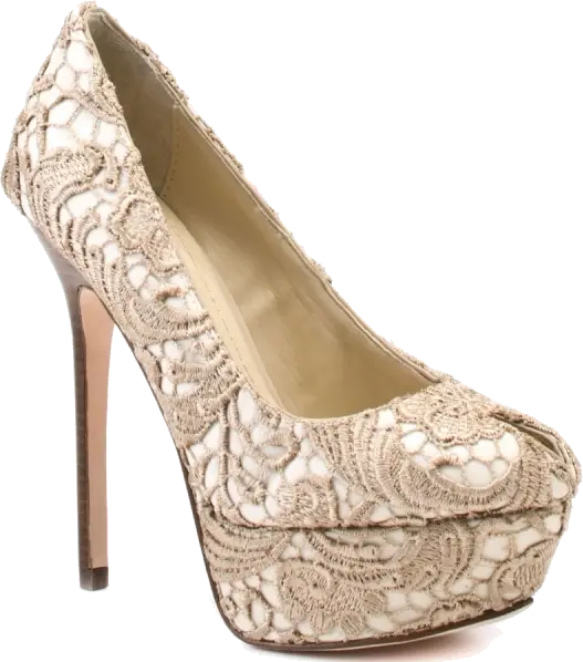 Elegant Lace High Heel Shoe