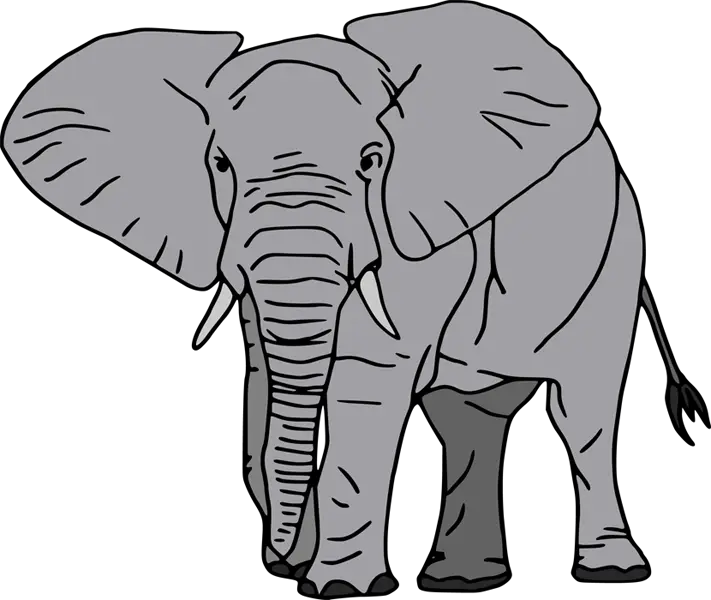 Illustration of a Gray Elephant in Wildlife Style