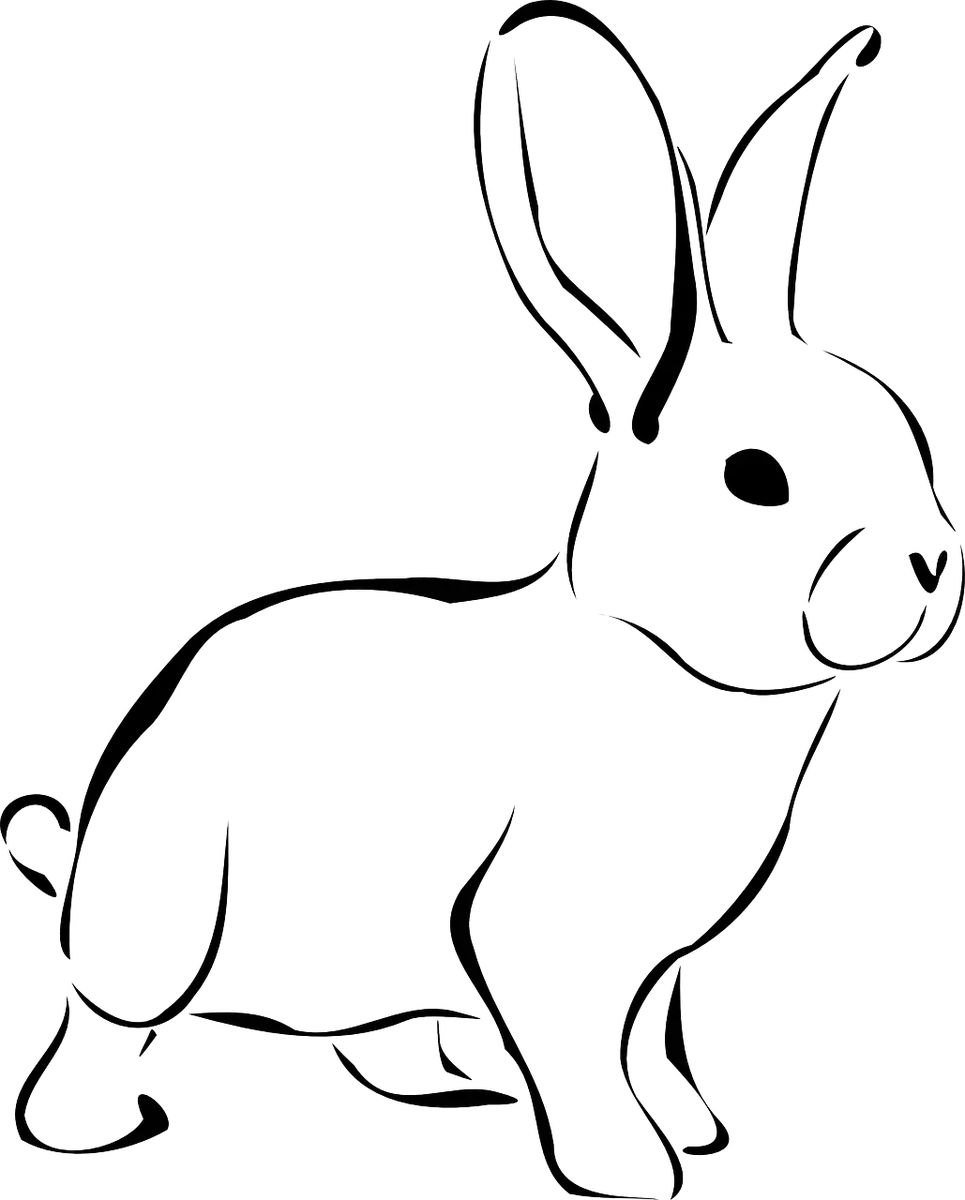 Simple Line Drawing of a Rabbit