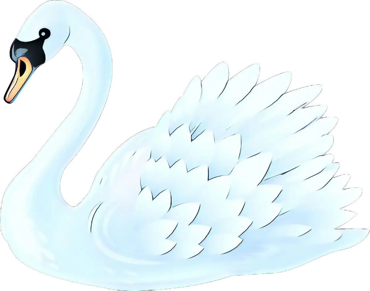 Elegant White Swan Illustration