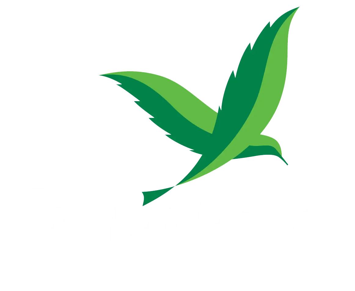 Green Abstract Bird Logo