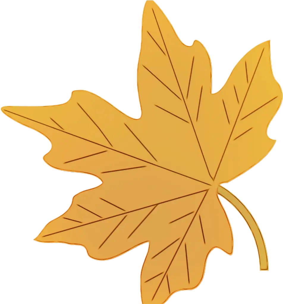 Yellow Maple Leaf Illustration