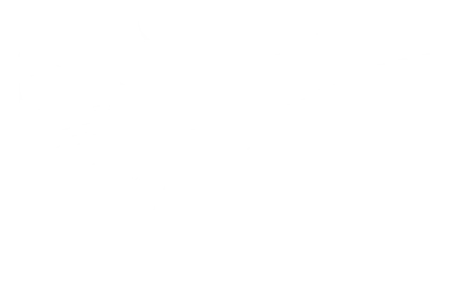 Faint Transparent Outline Illustration