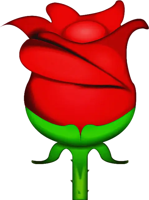 Red Rose Bud for Valentine&#039;s Day