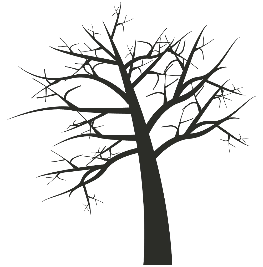 Illustration of Bare Tree with No Leaves