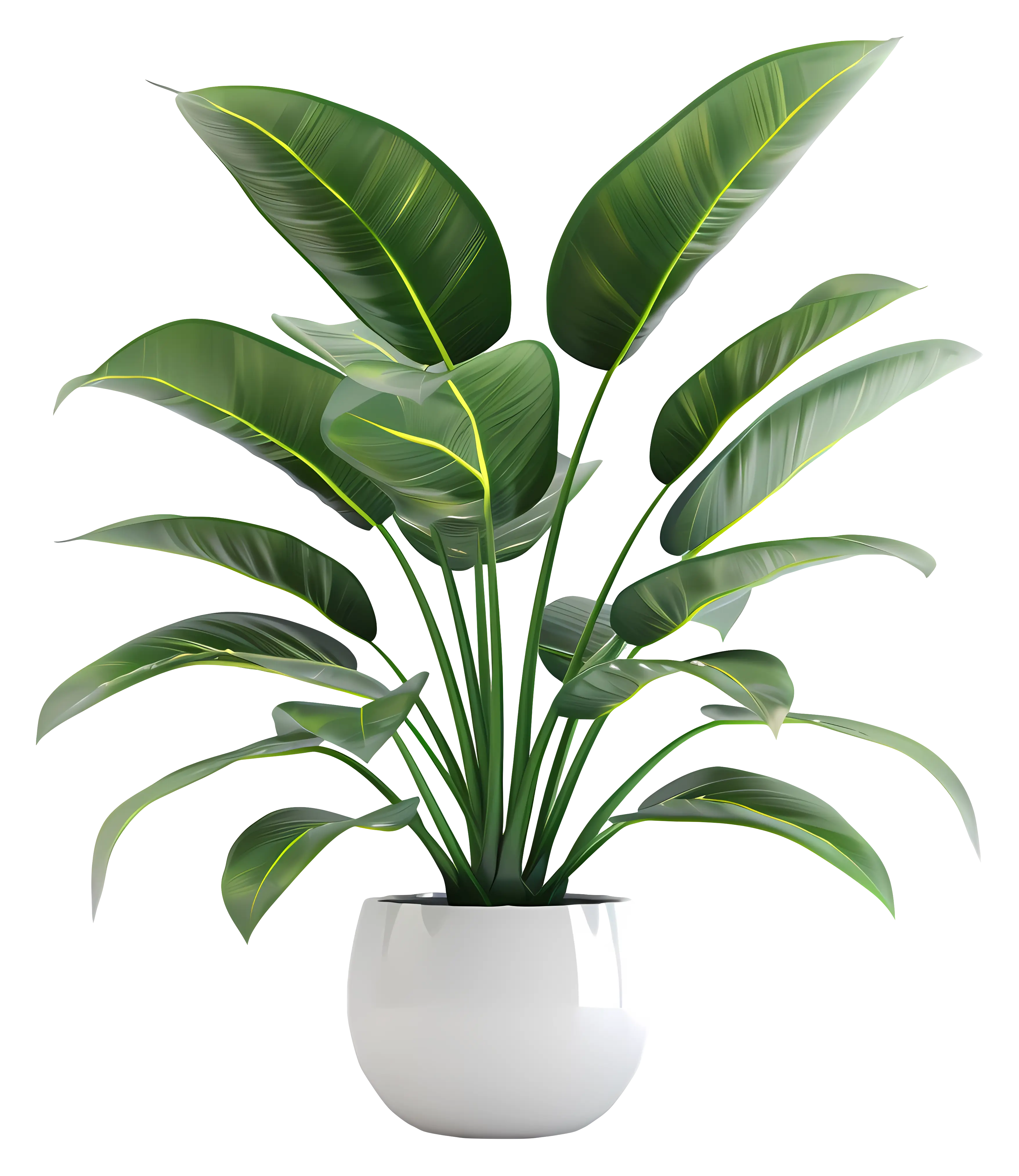Beautiful Potted Green Plant Illustration