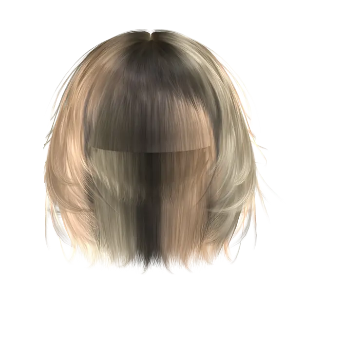 Blonde and Brown Hair Wig