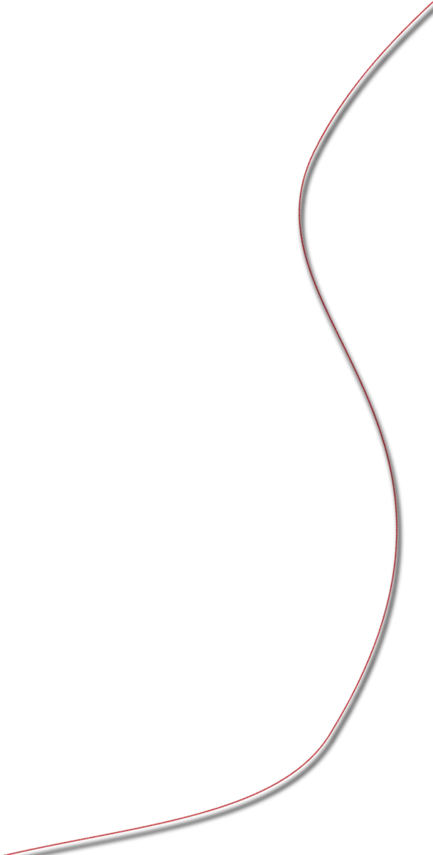 Thin Red and Black Wavy Line Design