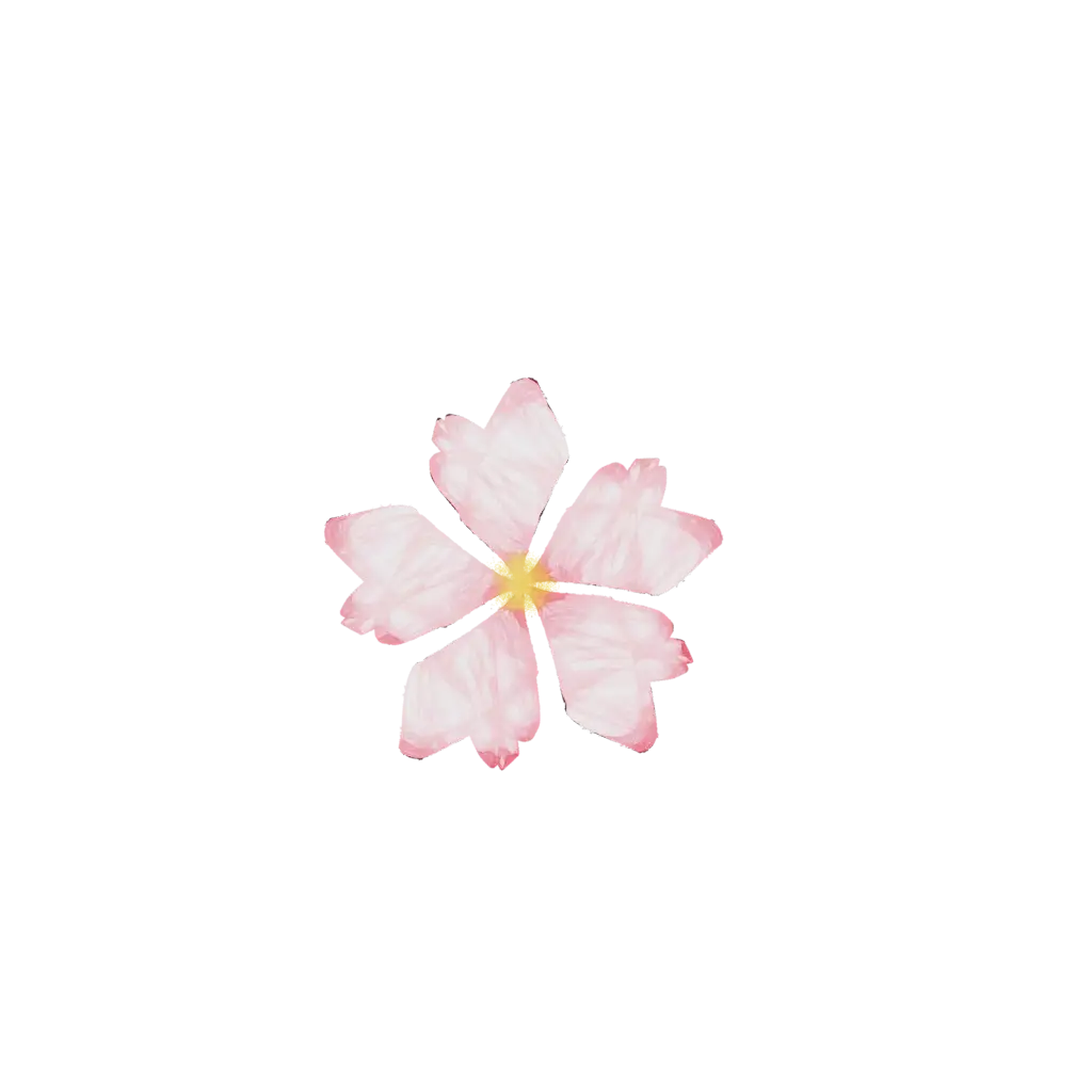 Pink Cherry Blossom Illustration
