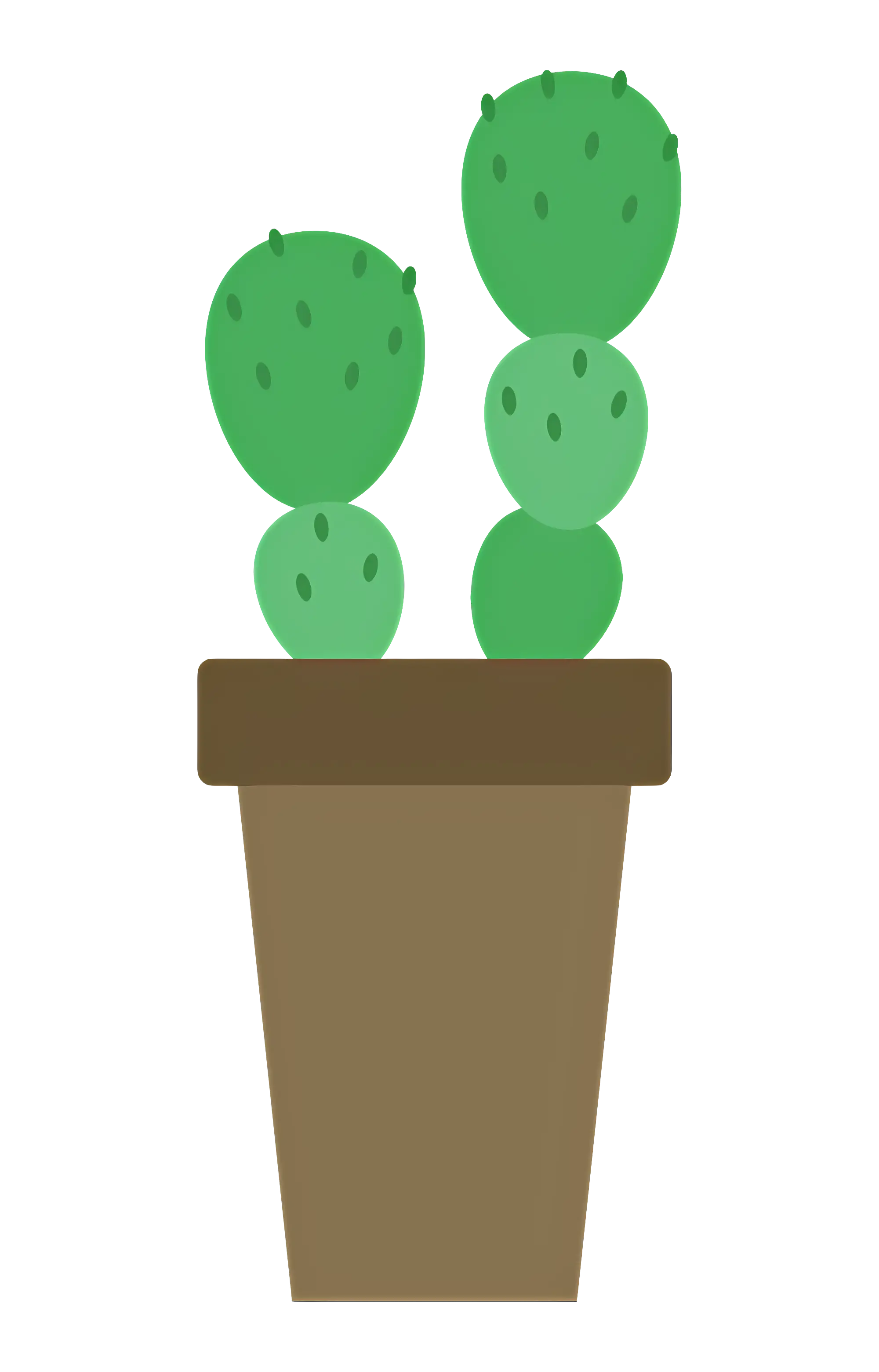 Cactus Plant in Pot