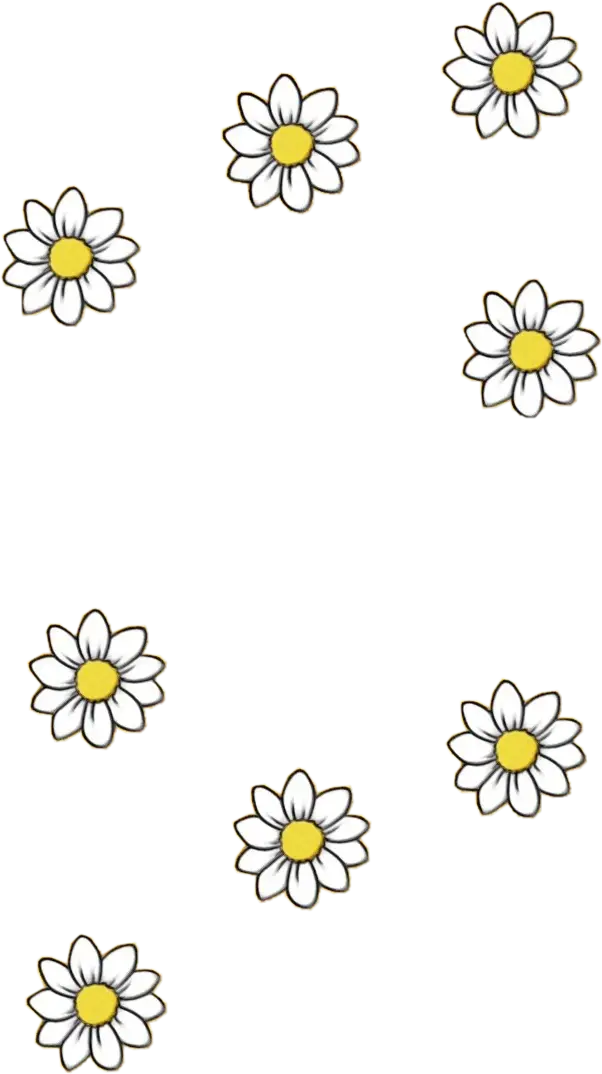 Pattern of Daisies