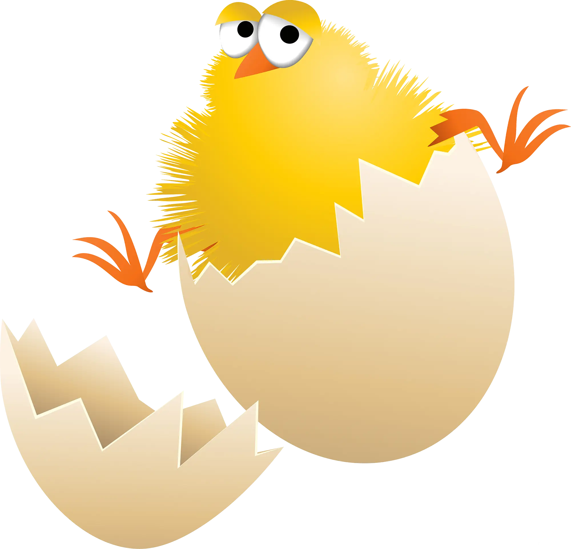 Yellow Chick Hatching from Egg Illustration