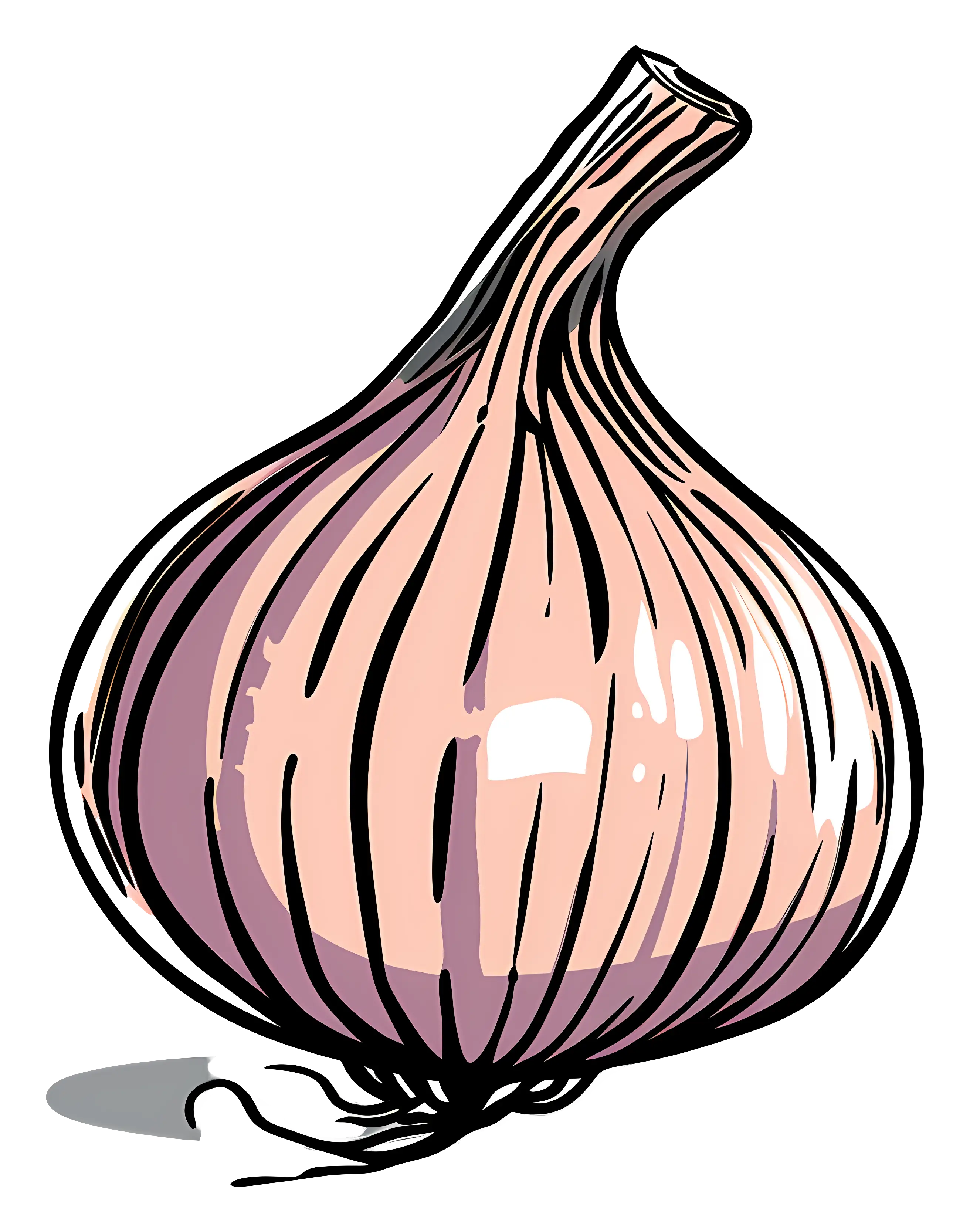 Garlic Bulb Illustration