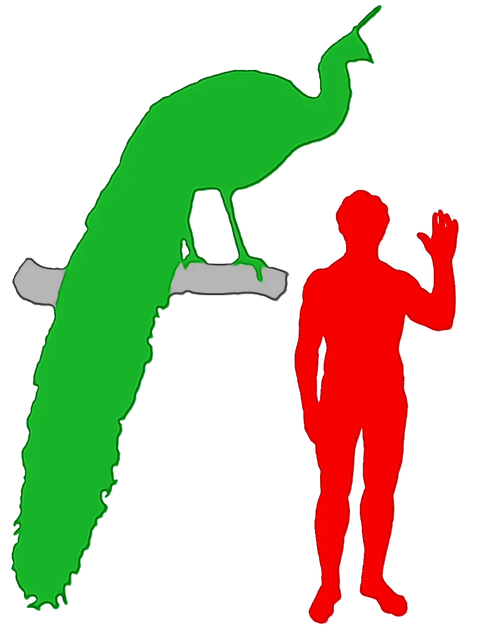 Green Peacock and Human Silhouettes