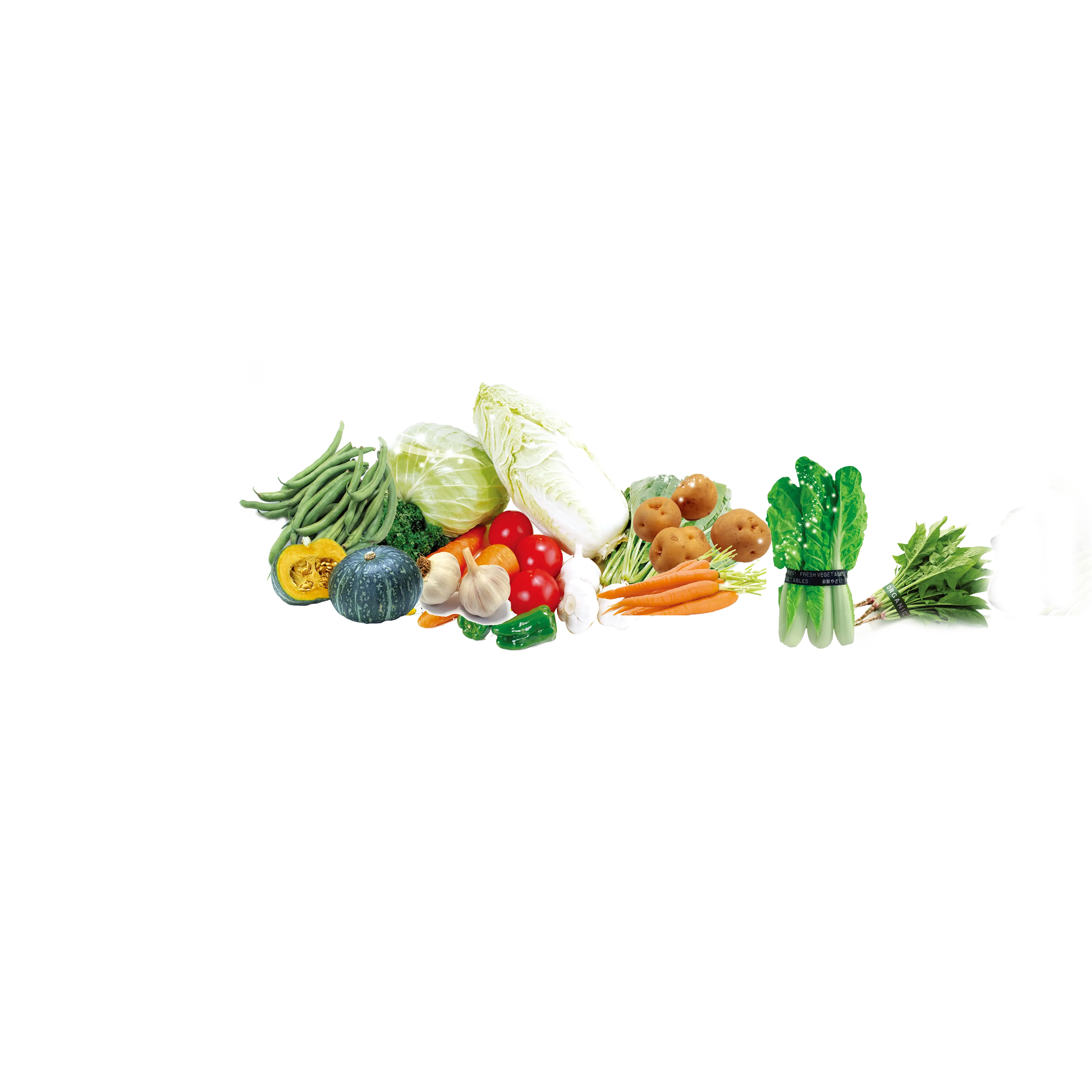 Assortment of Fresh Vegetables