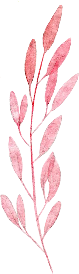 Pink Watercolor Leaves Illustration