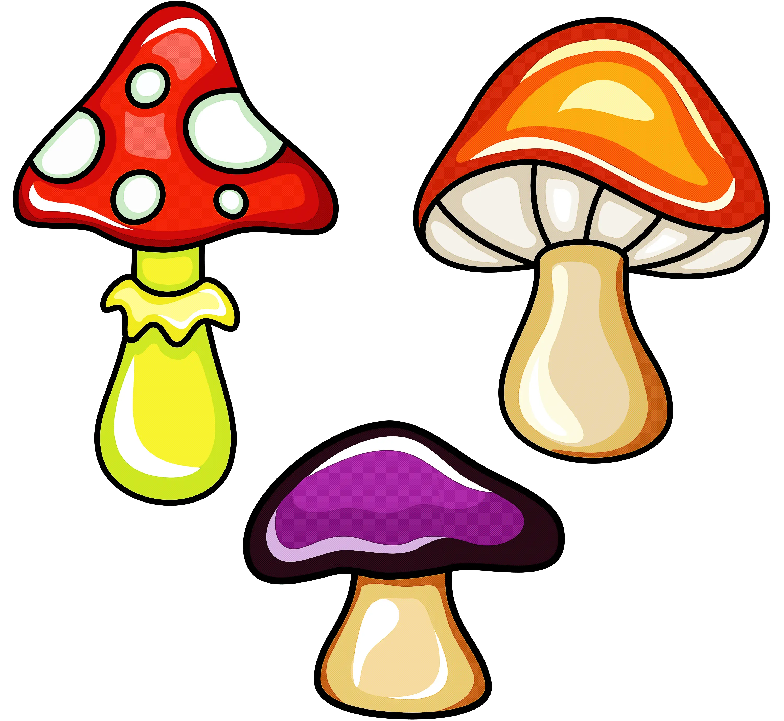 Illustrative Collection of Colorful Mushrooms