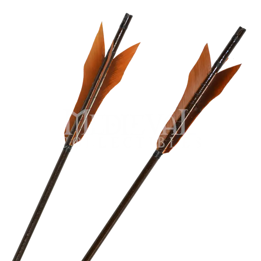 Arrows with Feathers for Archery