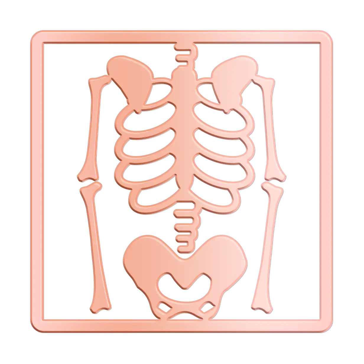 Skeleton X-ray Illustration