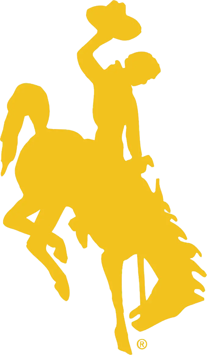 Yellow Cowboy Silhouette on Horse