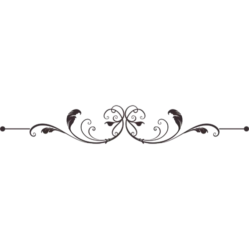 Elegant Border Design with Floral Patterns
