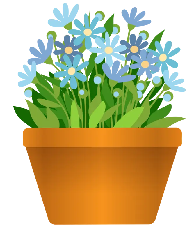 Vibrant Potted Flowers