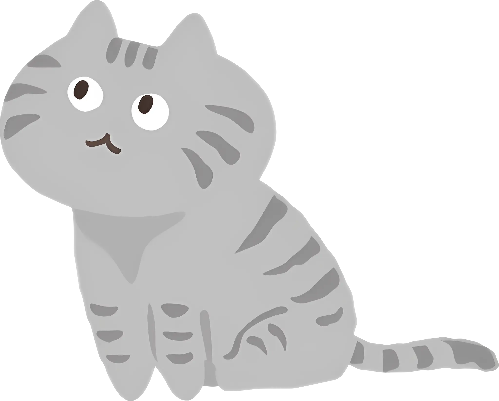 Cute Grey Cat