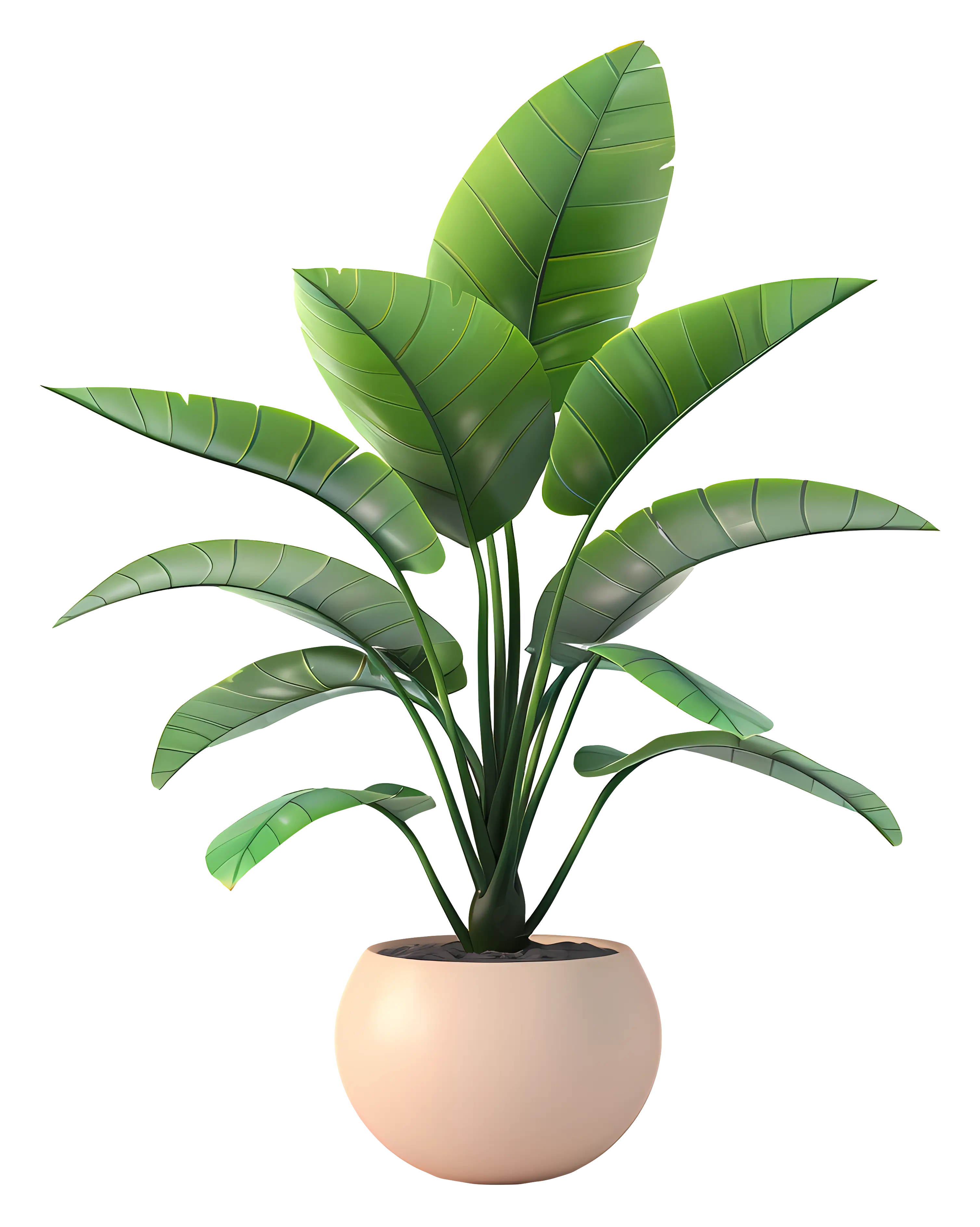 Potted Green Plant with Large Leaves