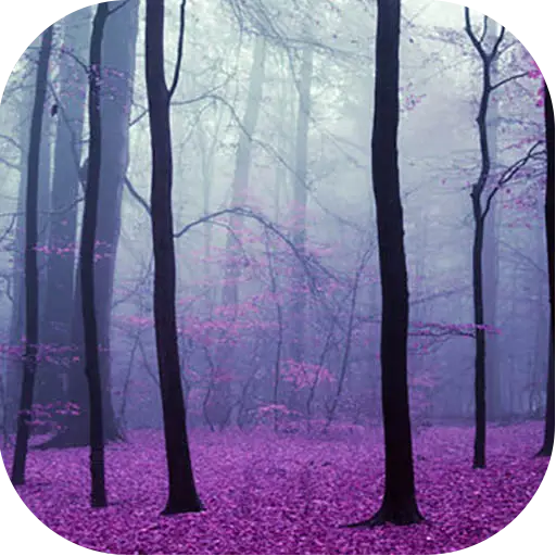 Misty Forest with Purple Leaves
