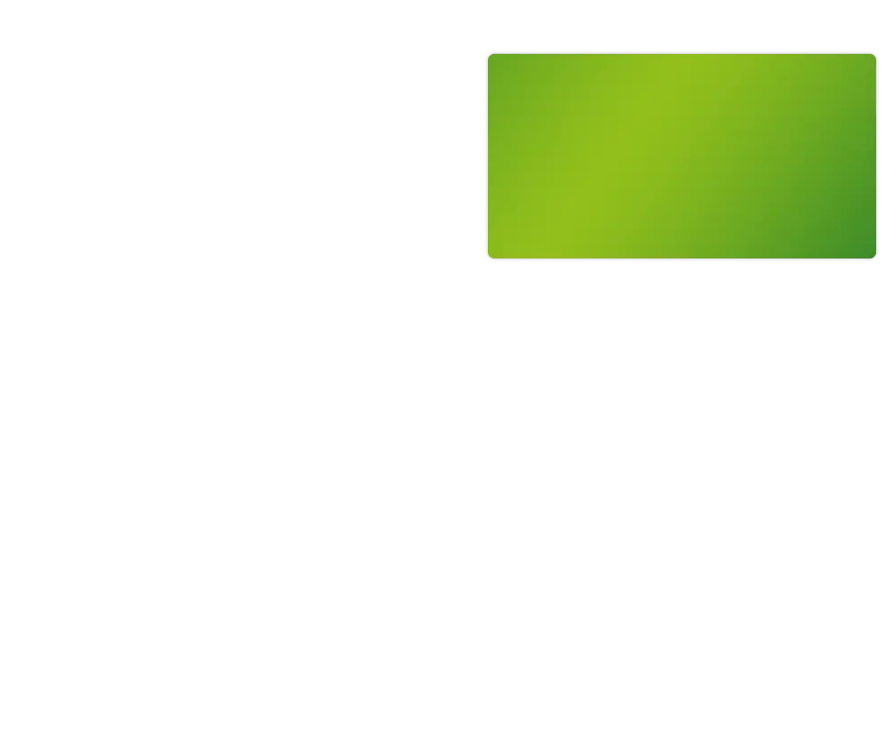 Plain Green Rectangular Label Design