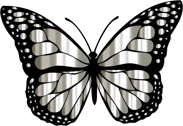 Elegant Black and White Butterfly Illustration