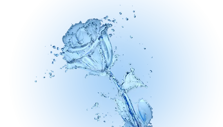 Water Splash Rose in Blue Gradient