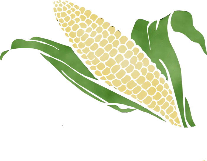 Corn With Green Husk Illustration