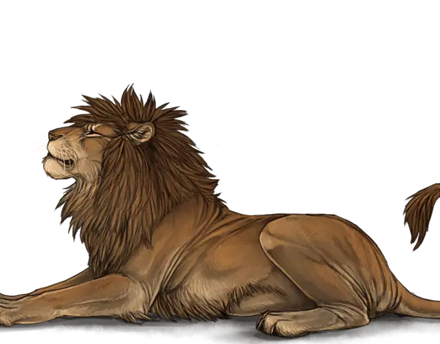 Detailed Lion Illustration with Sitting Pose