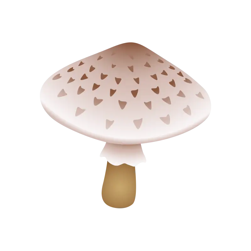 Cute Mushroom Cartoon Illustration