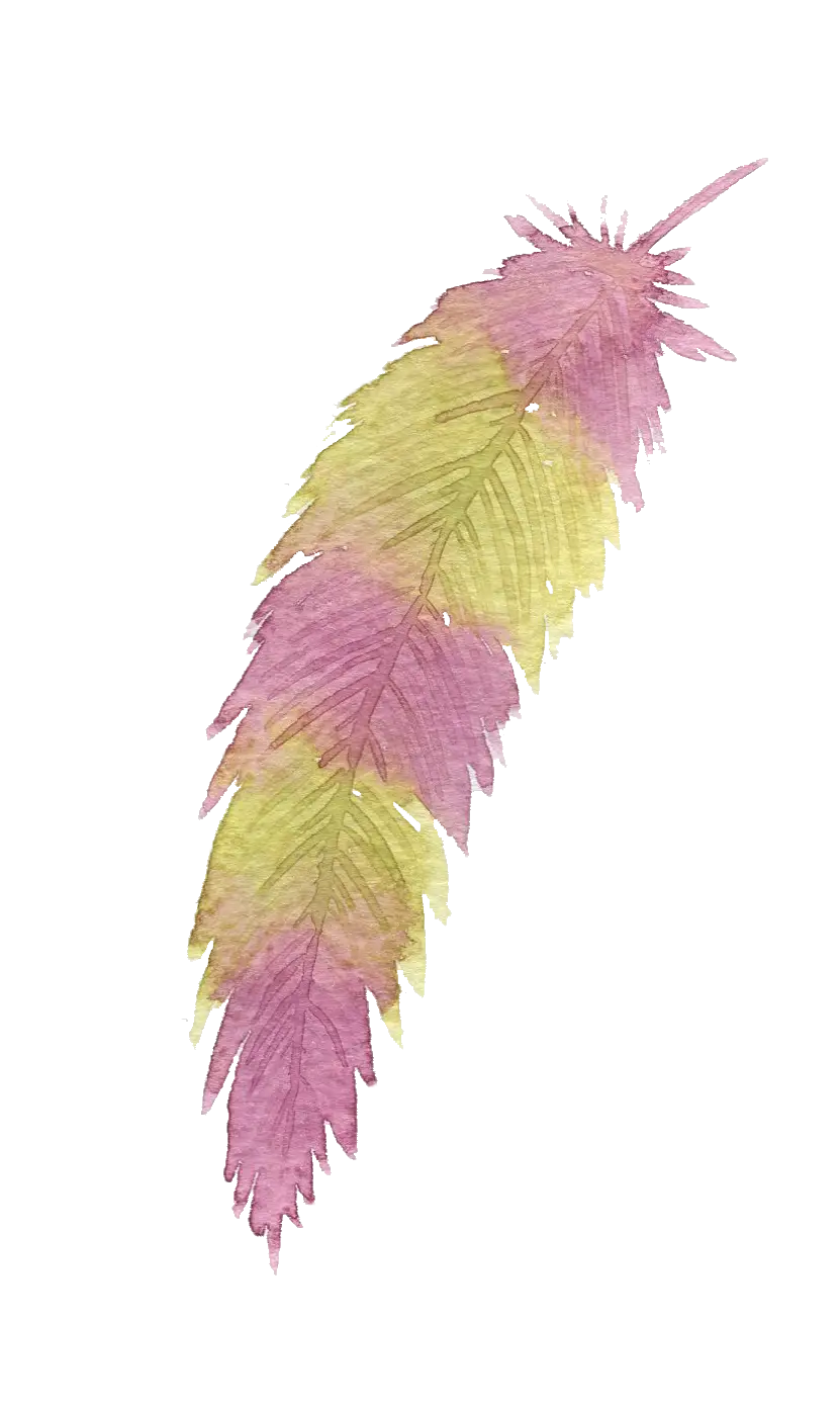 Pink and Yellow Feather