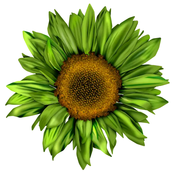Bright Realistic Sunflower Design