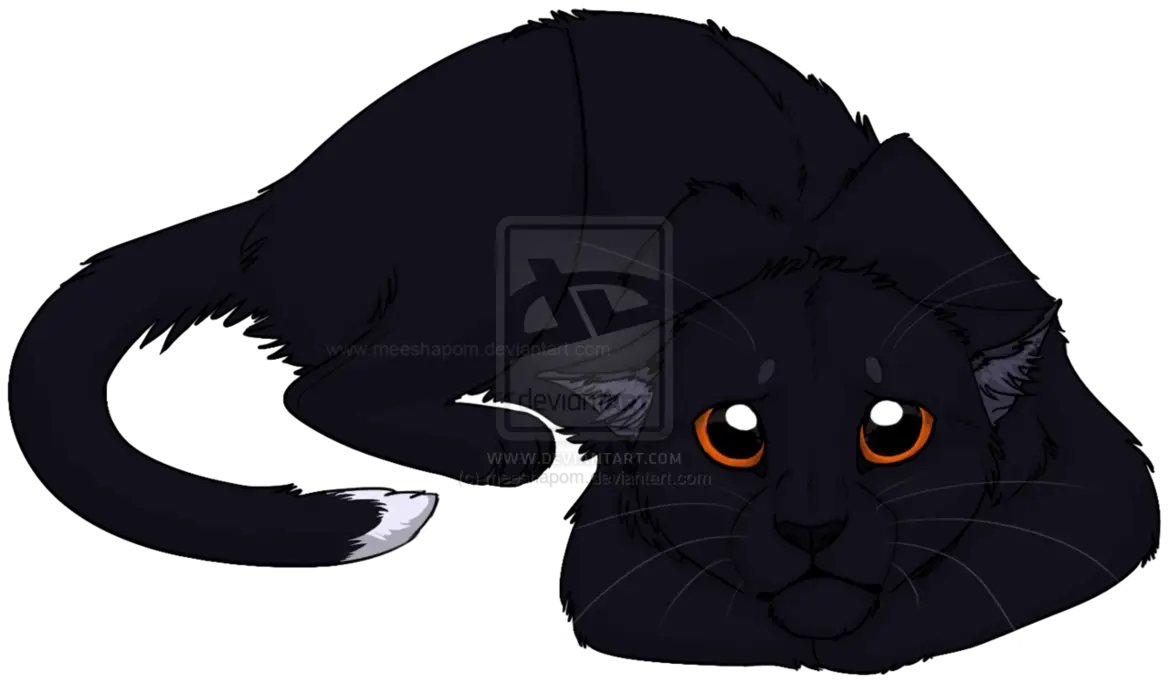 Black Cat Illustration with Orange Eyes